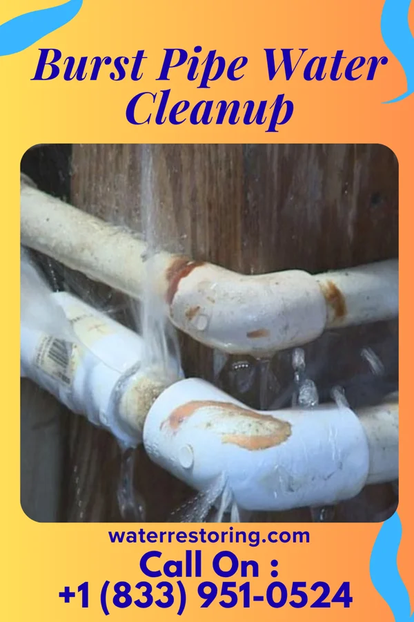 Burst Pipe Water Cleanup in Woodland Beach, MI