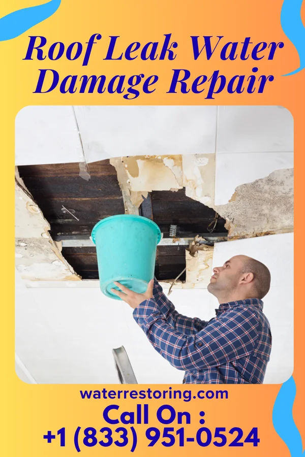 Roof Leak Water Damage Repair in Woodland Beach, MI