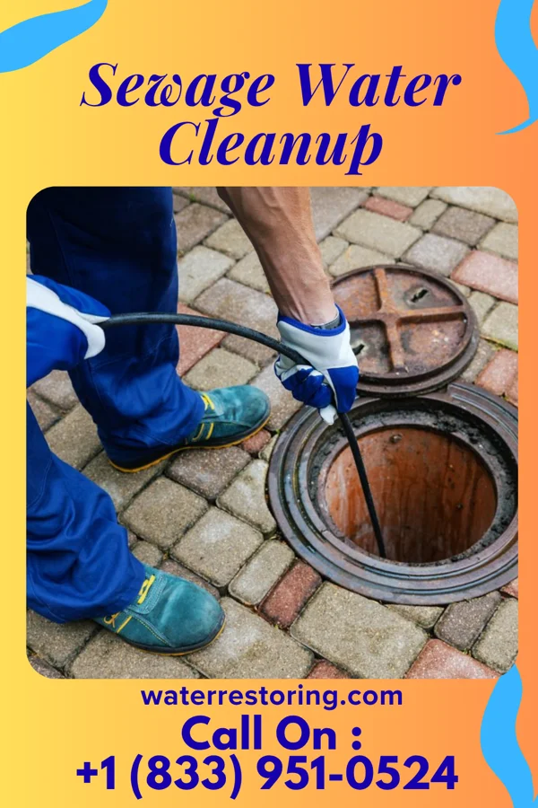 Sewage Water Cleanup in Woodland Beach, MI