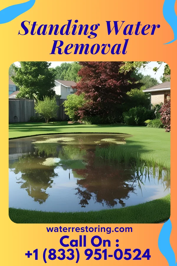 Standing Water Removal in Woodland Beach, MI